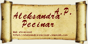 Aleksandra Pećinar vizit kartica